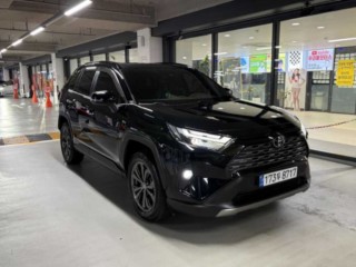 RAV4(5세대) 라브4